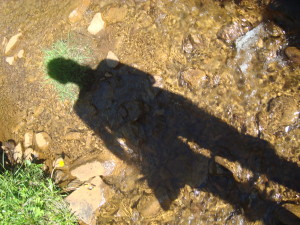 sumar_2011_43