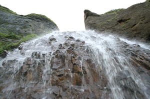 Foss