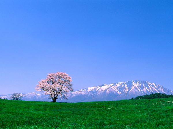 fuji-mountain-wallpaper1024x768 - Copy